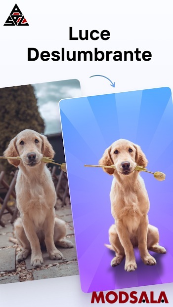 photoroom apk latest version